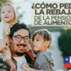 como puedo pedir rebaja de la pensión alimenticia