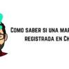 como saber si una marca esta registrada en chile