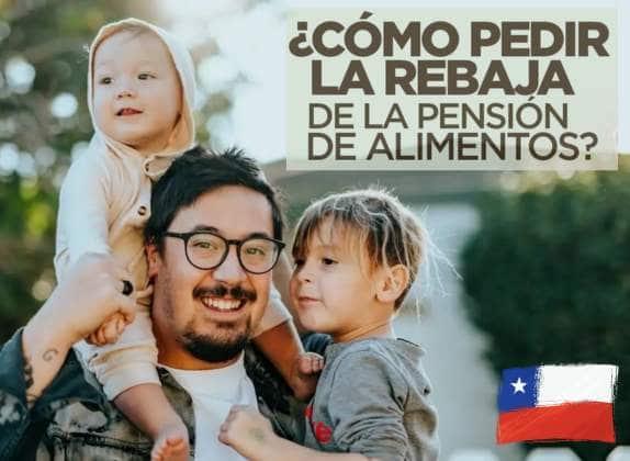 como puedo pedir rebaja de la pensión alimenticia